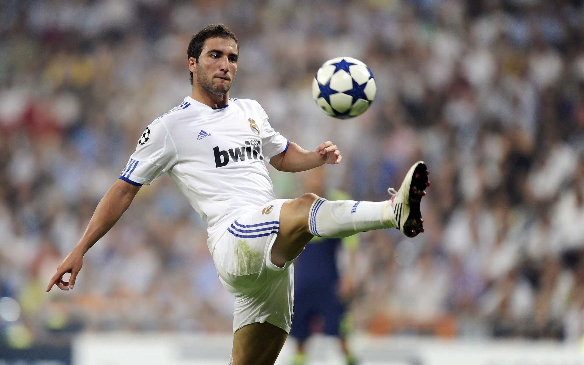 阿尔比塞特主场大捷,奏响胜利之歌,阿比埃塞