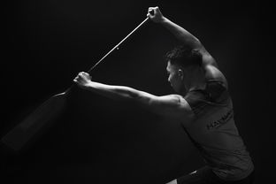 JiuyouAPP下载-全民健身摄影作品展览走进体育馆大厅，体育运动摄影作品展